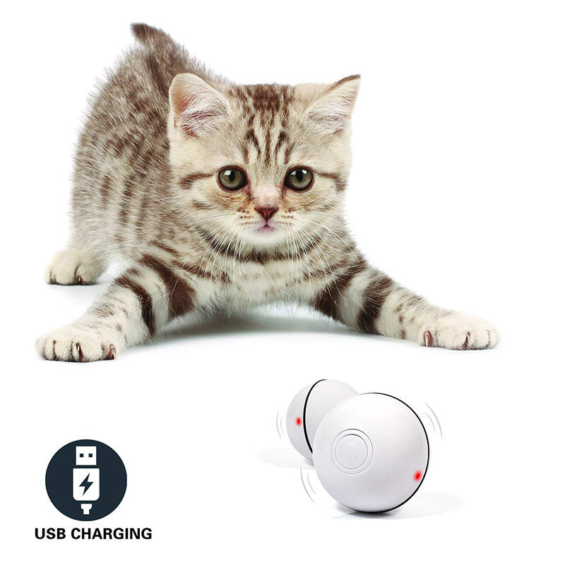 LED Laser Electronic Rolling /Pet Funny Cat Toy Ball