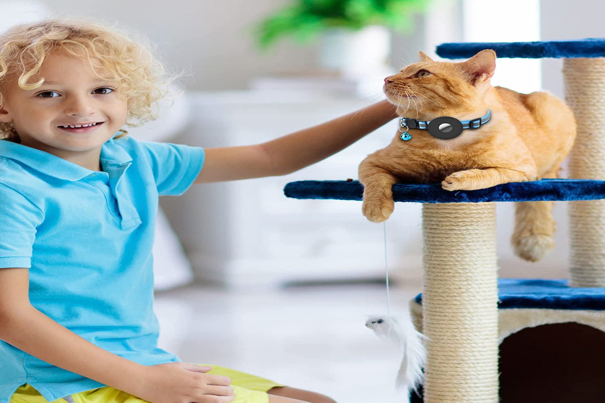 Adjustable Anti-lost Cat Dog Collar