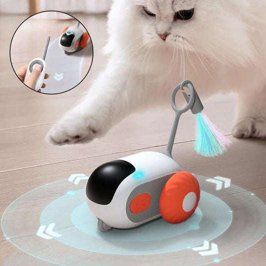 Smart Control Car Interactive Pet Toy